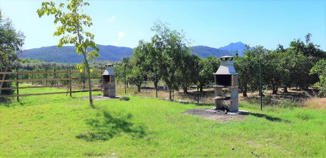 Hotel Camping La Naranja Gandía Exteriér fotografie