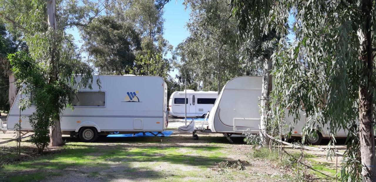 Hotel Camping La Naranja Gandía Exteriér fotografie