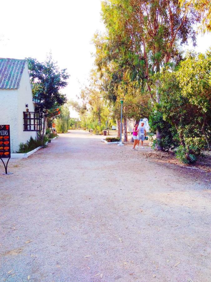 Hotel Camping La Naranja Gandía Exteriér fotografie