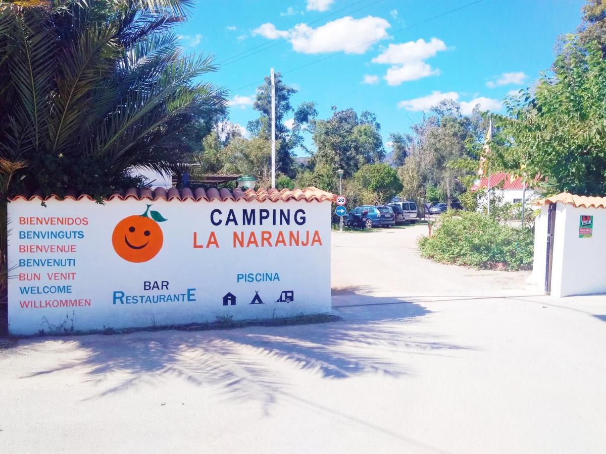 Hotel Camping La Naranja Gandía Exteriér fotografie