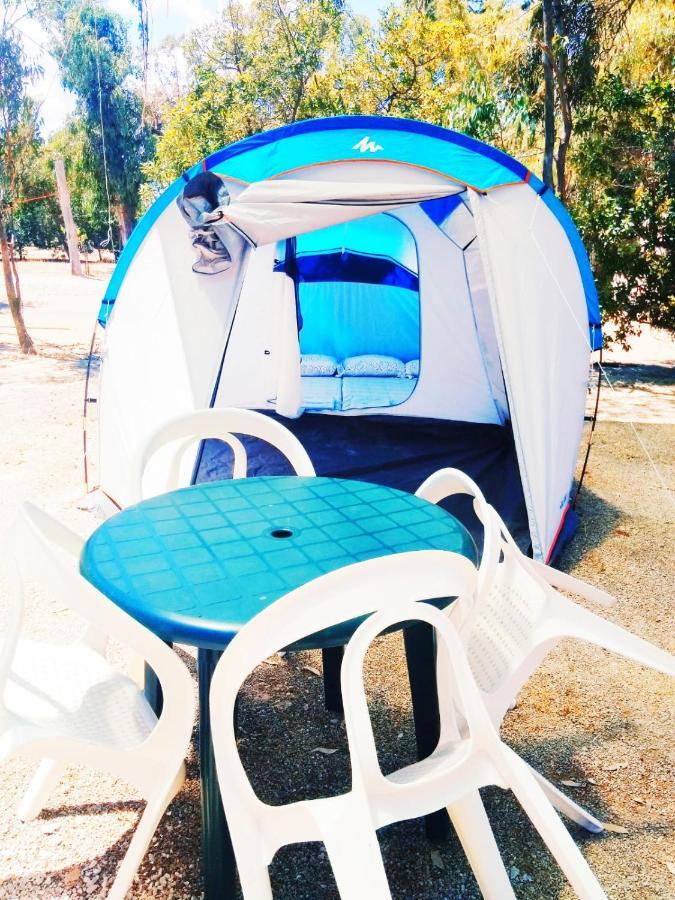 Hotel Camping La Naranja Gandía Exteriér fotografie
